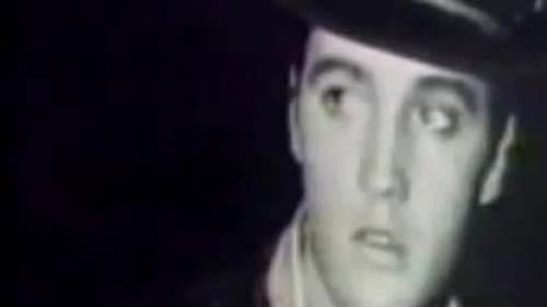 Elvis Presley - Die letzten 24 Stunden Bild 3