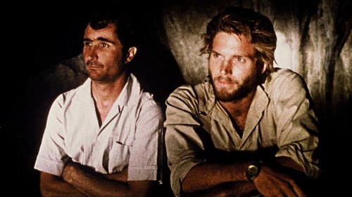 Kino, Aspirin und Geier Bild 1