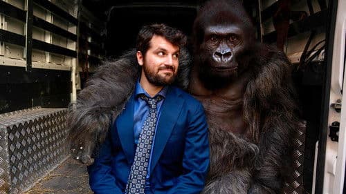 Attenti al gorilla Bild 1