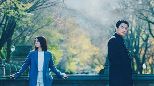 マチネの終わりに Bild 1