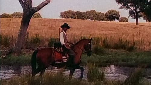 Alentejo Sem Lei Bild 3