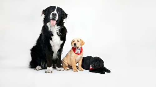 L'académie Mira Bild 1