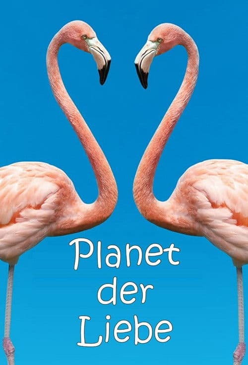 Planet der Liebe