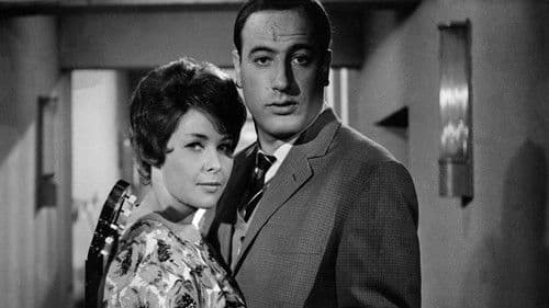 Auf der Sonnenseite Bild 1