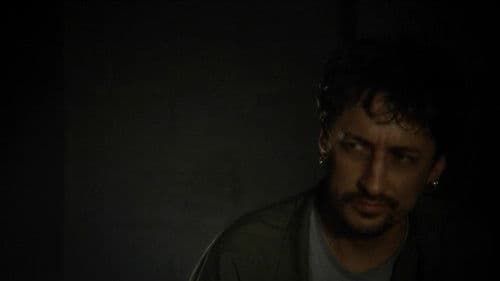 Survivor Type Bild 2