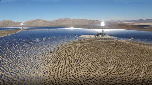 Bright Green Lies Bild 1