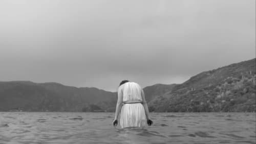 A Floresta das Almas Perdidas Bild 1