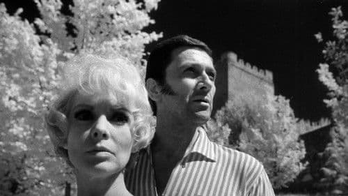 Honeymoon with a Stranger Bild 3