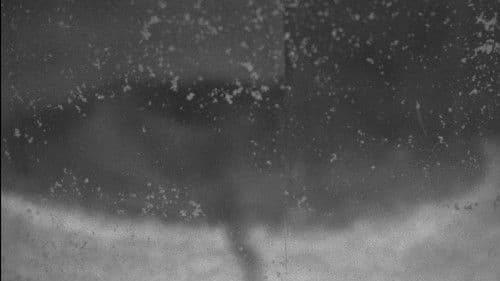 Sa Tapat ng mga Nahuhulog na Mangga Bild 1