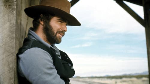 Der Mann, der die Katzen tanzen ließ Bild 2