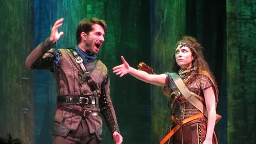 Robin Hood and the Justice Fighters The Musical Bild 1