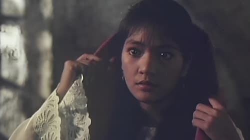 Virgin Forest Bild 1