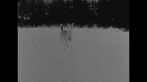 The Hart of London Bild 5