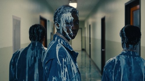 Die Nickel Boys Bild 8