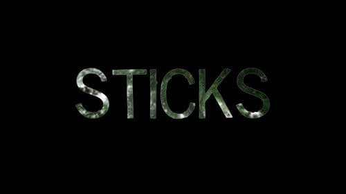 Sticks Bild 1