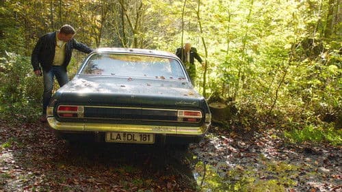 Sauerkrautkoma Bild 6