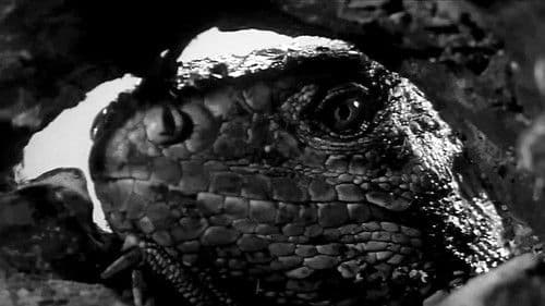 King Dinosaur Bild 5