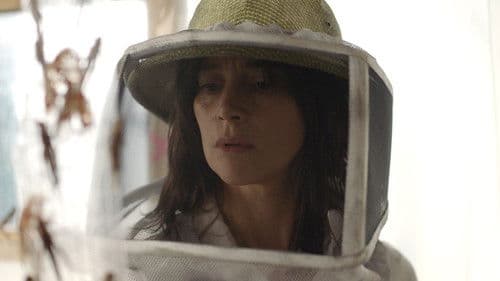 Schwarm der Schrecken Bild 4