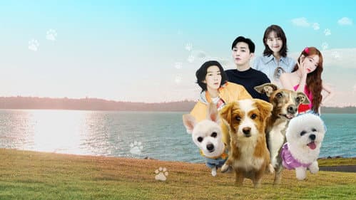 우리집 상전 Bild 1