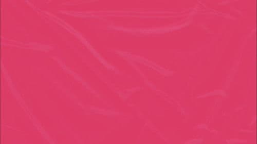 This American Wife Bild 1