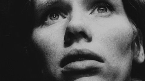 Die Stunde des Wolfs Bild 3