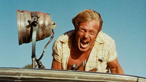 Not Quite Hollywood Bild 2