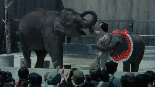 子象物語 地上に降りた天使 Bild 1