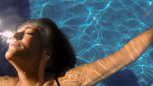 Observar las aves Bild 2