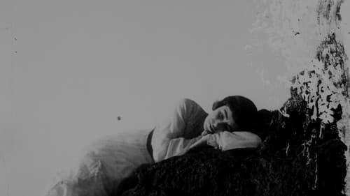 Barriers of Society Bild 1