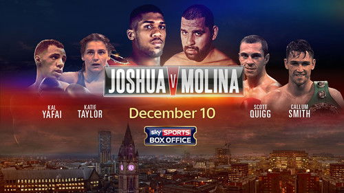 Anthony Joshua vs. Eric Molina Bild 2