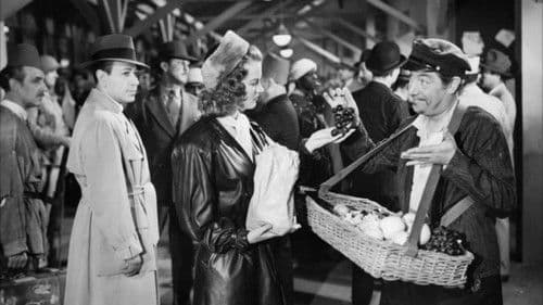 Spion im Orientexpress Bild 1