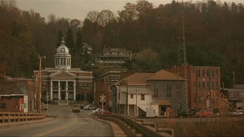 All the Real Girls Bild 4