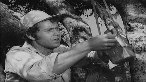 Das Geheimnis der Anden Bild 1