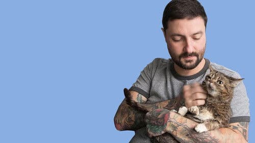 Catnip Nation Bild 2