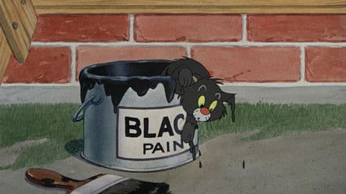 Bad Luck Blackie Bild 5