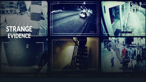 Unglaubliche Aufnahmen Bild 1