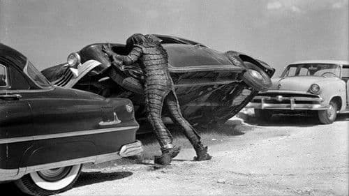 Die Rache des Ungeheuers Bild 4