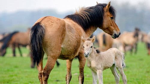 Deadly Instincts Bild 6