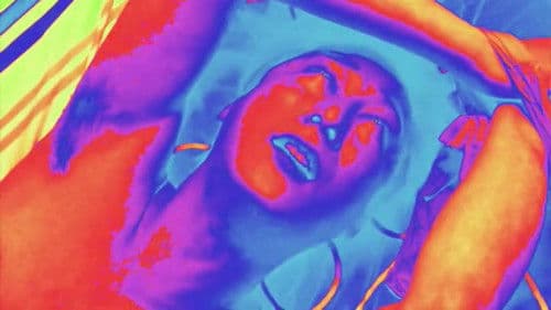 猛毒Y談 吸血! 女王蜂 !! Bild 7