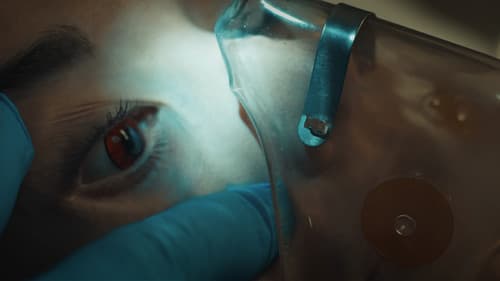 Blood and Snow Bild 3