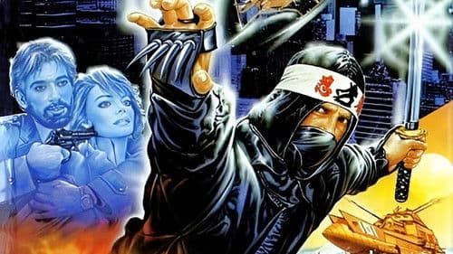 Die Herausforderung der Ninja Bild 3