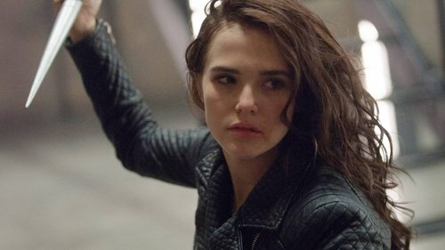 Vampire Academy Bild 2