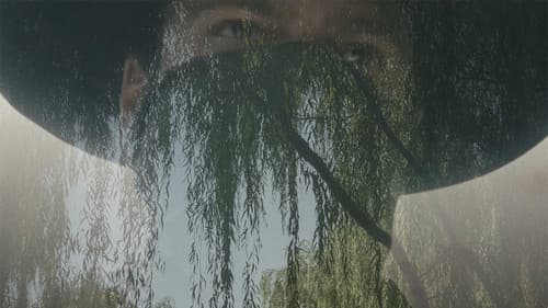 Among the Willows Bild 3