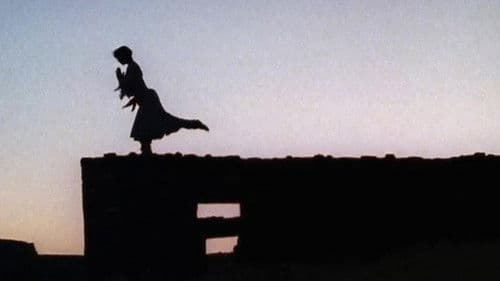 The Burning Times Bild 1