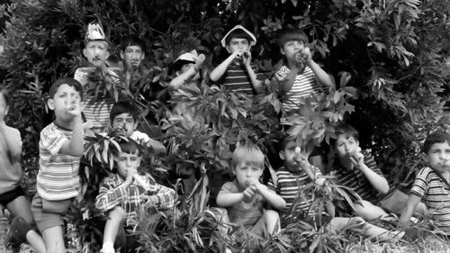 Gli onorevoli Bild 4