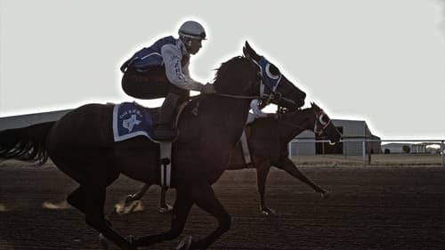 Cowboy Cartel Bild 6