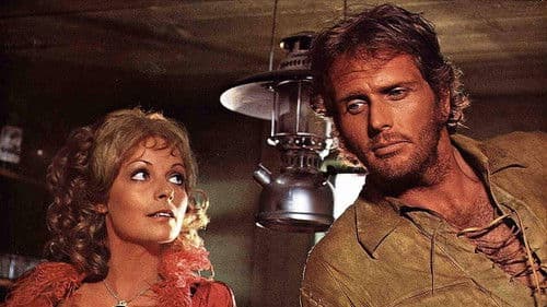 Der Schrei der schwarzen Wölfe Bild 1