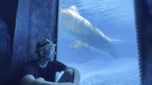 Delphinariums game over ? Bild 1