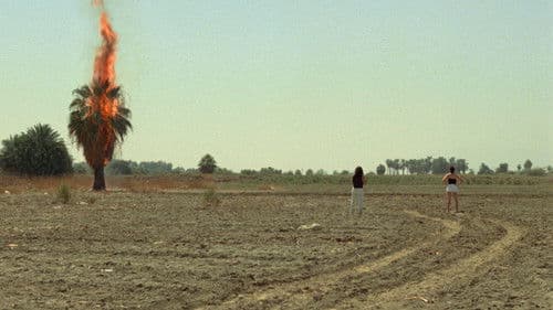 Queen of Diamonds Bild 2