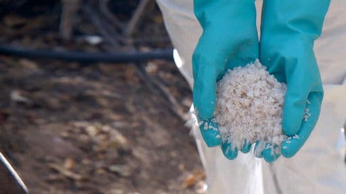 Narco Wars - Der Kampf gegen Drogen Bild 1